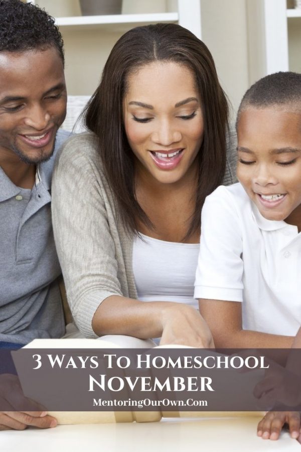 3 Ways to Homeschool Nov. PV4
