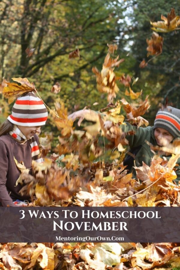 3 Ways to Homeschool Nov. PV1b