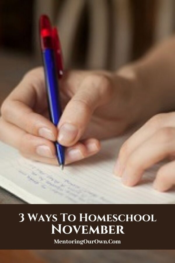 3 Ways to Homeschool Nov. PV2 a