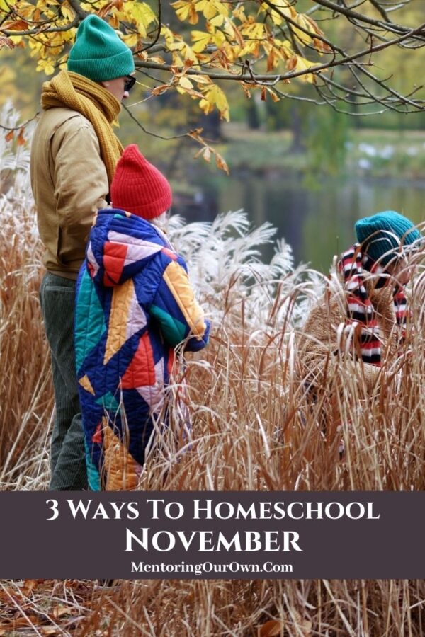 3 Ways to Homeschool Nov. PV5a
