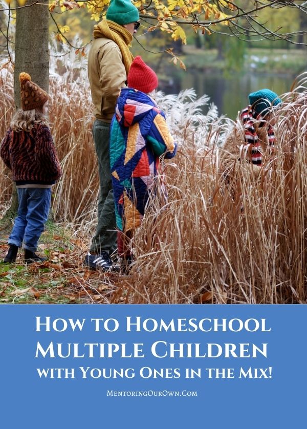 How to Homeschool Multiple Children W Young Ones in the Mix! PV 3