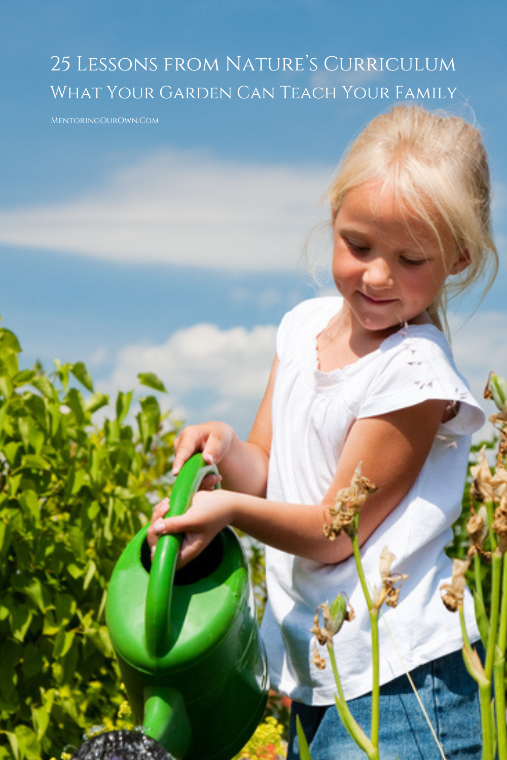 25 Lessons from Nature’s PV1