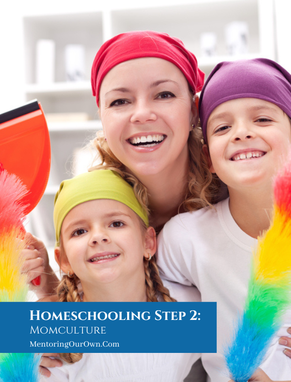 Homeschooling Step 2 Momcuture PV8