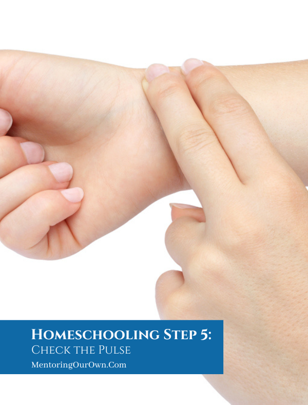 Homeschooling Step 5 Check the Pulse PV1a