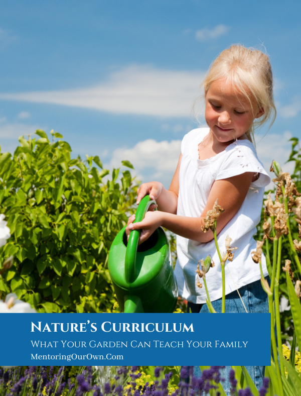 Nature's Curriculum PV1a